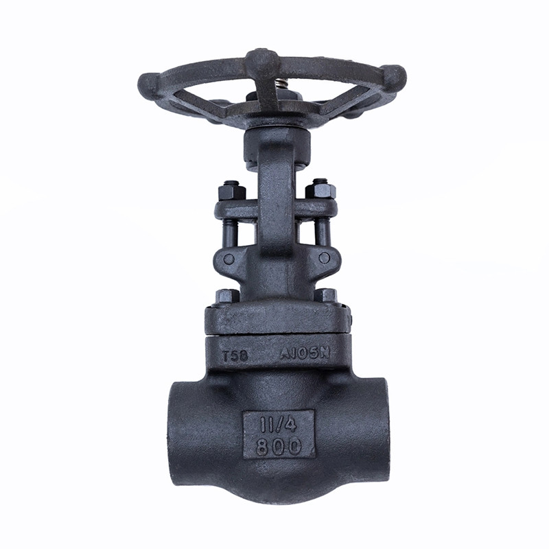 Válvula de compuerta forjada 800LBS