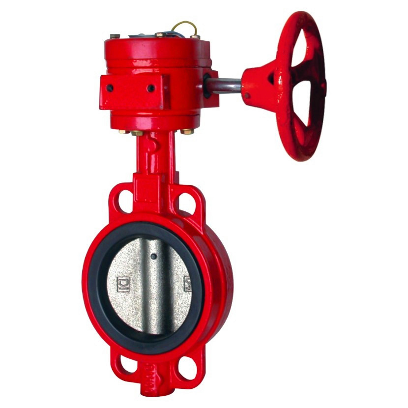 Ductile Iron Fire Fighting Signal Butterfly Valve